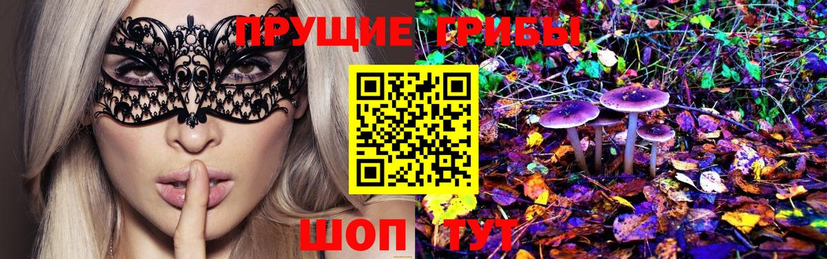Узловая  Псилоцибиновые грибы Psilocybe  Вход с VPN 